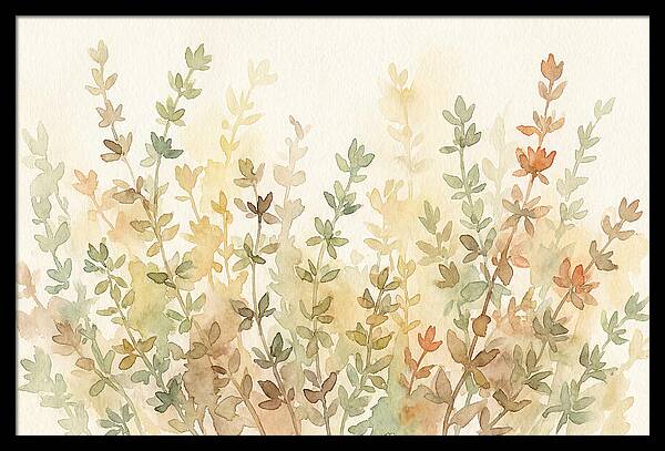 Thyme Tiny Leaves