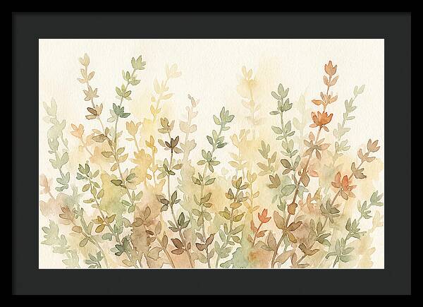Thyme Tiny Leaves