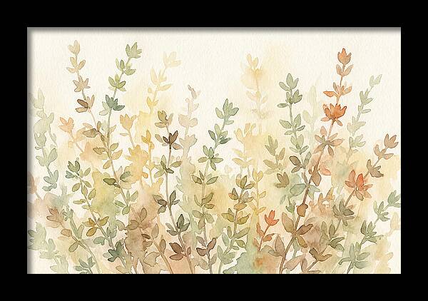 Thyme Tiny Leaves