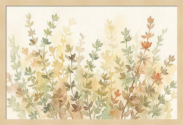 Thyme Tiny Leaves