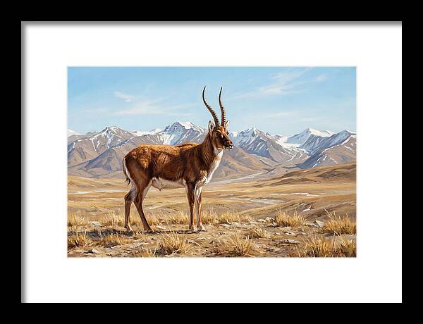 Tibetan Antelope In Majestic Landscape