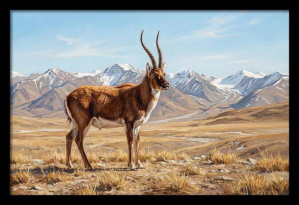 Tibetan Antelope In Majestic Landscape