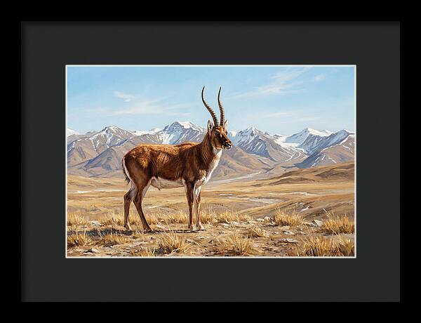 Tibetan Antelope In Majestic Landscape