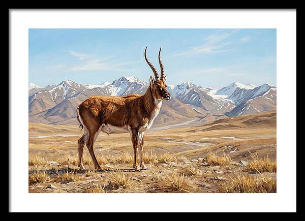 Tibetan Antelope In Majestic Landscape