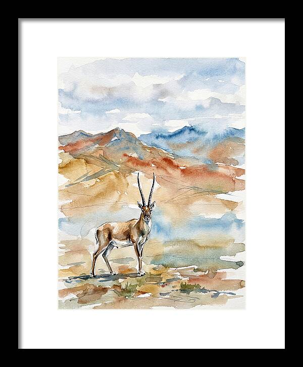 Tibetan Antelope In Serenity