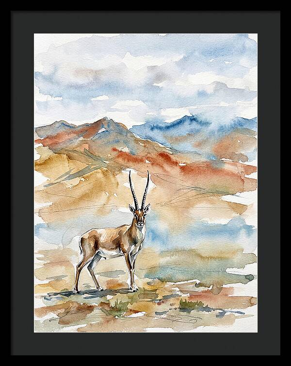Tibetan Antelope In Serenity