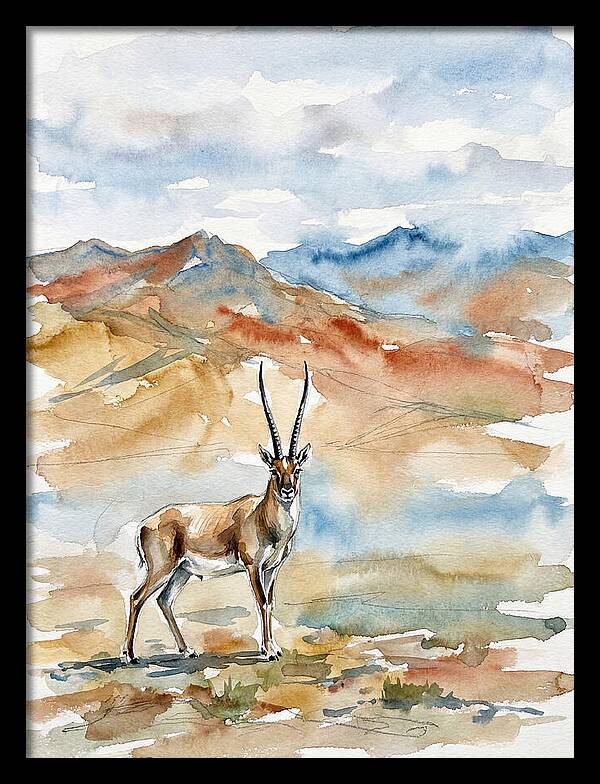 Tibetan Antelope In Serenity