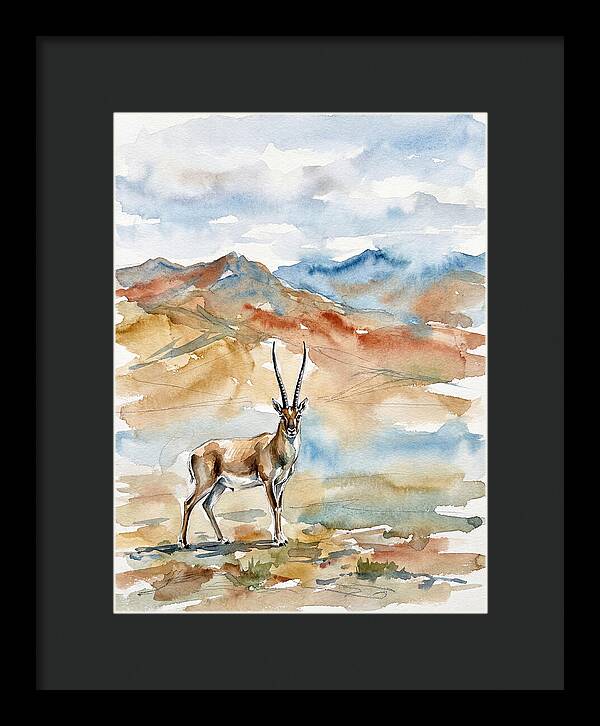 Tibetan Antelope In Serenity