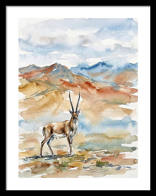 Tibetan Antelope In Serenity