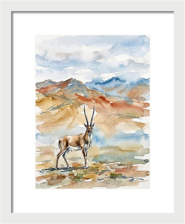 Tibetan Antelope In Serenity
