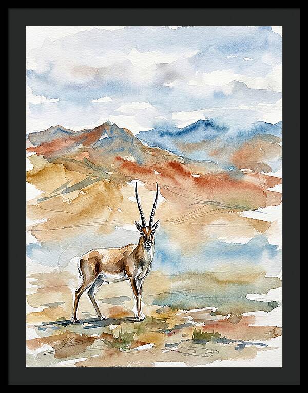 Tibetan Antelope In Serenity