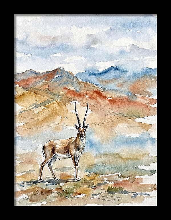 Tibetan Antelope In Serenity
