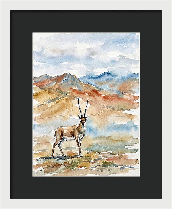 Tibetan Antelope In Serenity