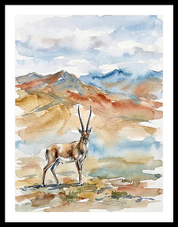 Tibetan Antelope In Serenity