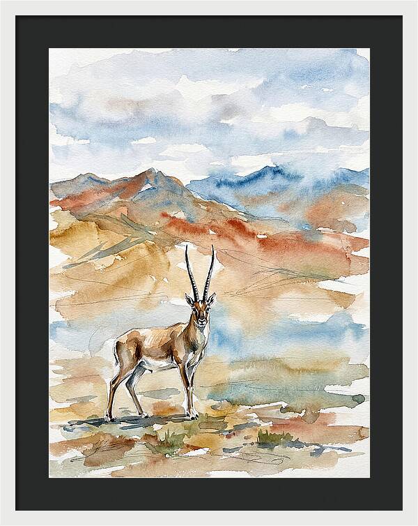 Tibetan Antelope In Serenity