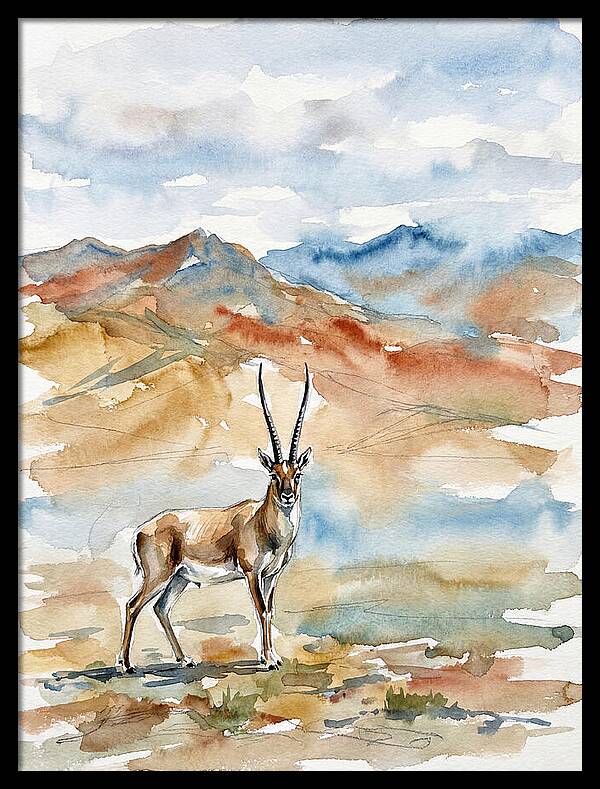 Tibetan Antelope In Serenity