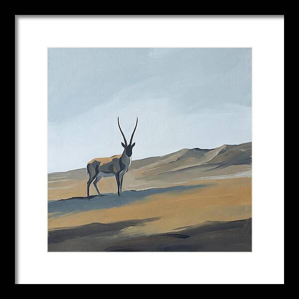Tibetan Antelope In Tranquil Landscape