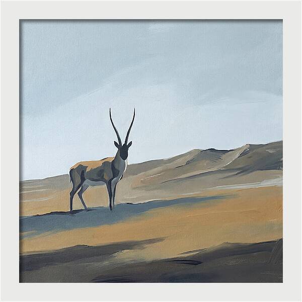 Tibetan Antelope In Tranquil Landscape