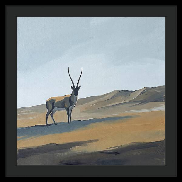 Tibetan Antelope In Tranquil Landscape