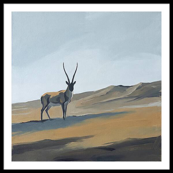 Tibetan Antelope In Tranquil Landscape