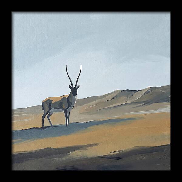 Tibetan Antelope In Tranquil Landscape