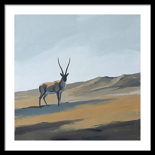 Tibetan Antelope In Tranquil Landscape