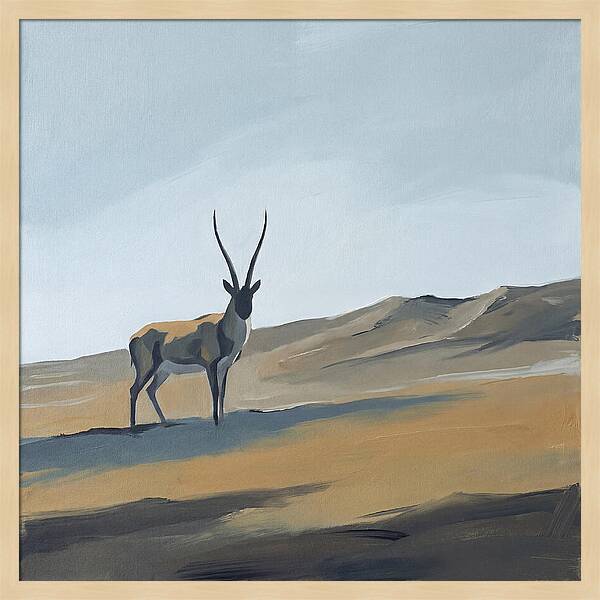 Tibetan Antelope In Tranquil Landscape