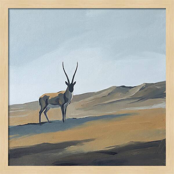 Tibetan Antelope In Tranquil Landscape