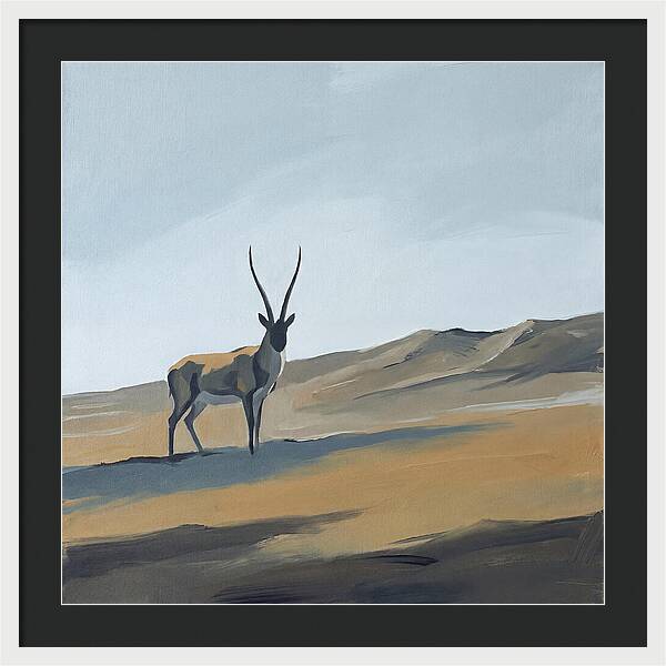 Tibetan Antelope In Tranquil Landscape