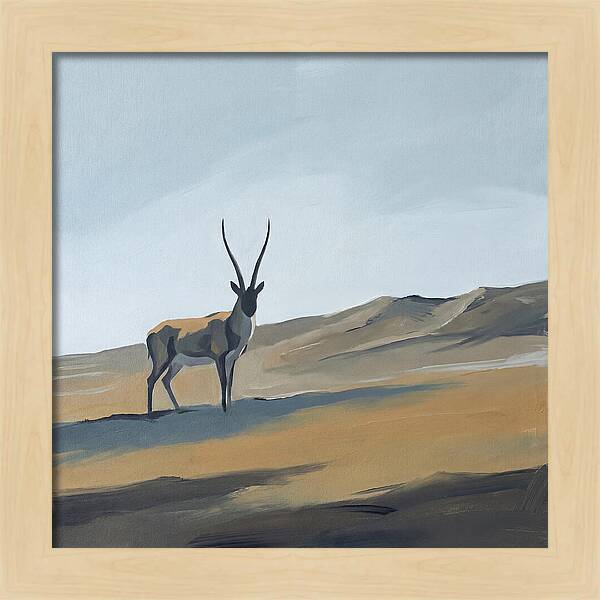 Tibetan Antelope In Tranquil Landscape
