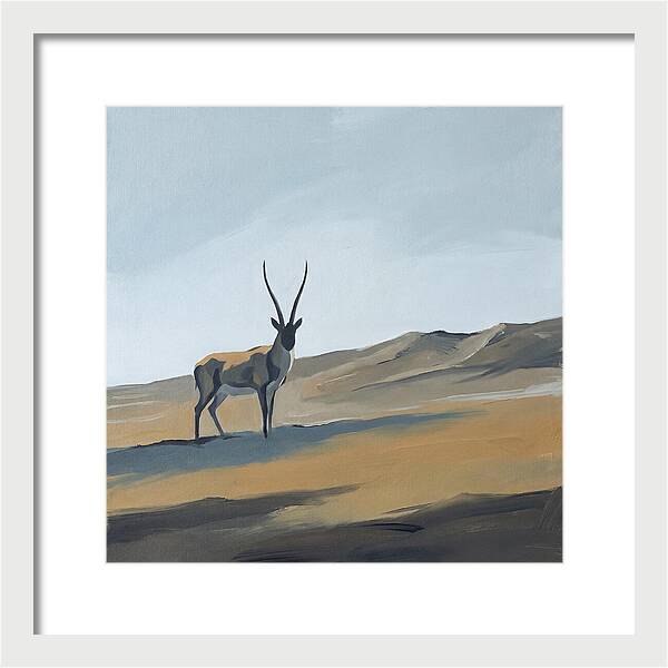 Tibetan Antelope In Tranquil Landscape