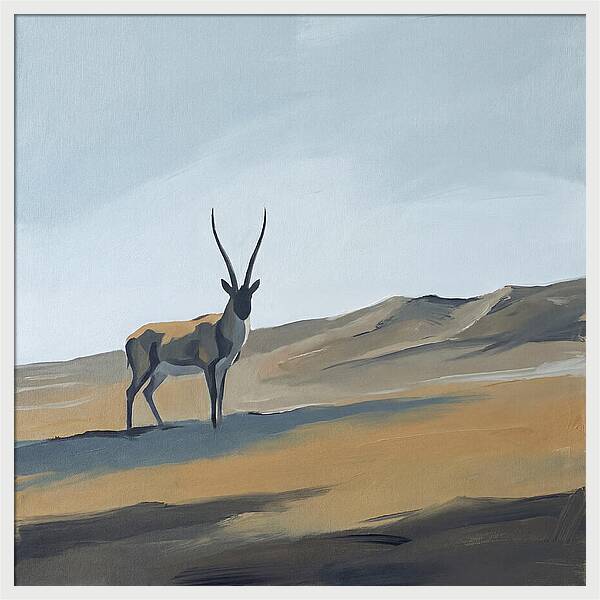 Tibetan Antelope In Tranquil Landscape