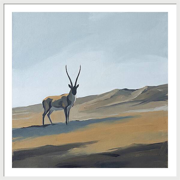 Tibetan Antelope In Tranquil Landscape