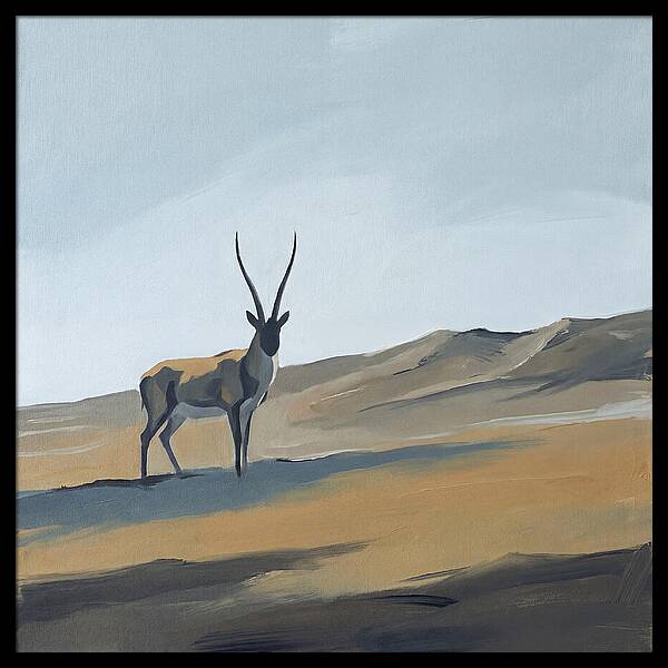 Tibetan Antelope In Tranquil Landscape