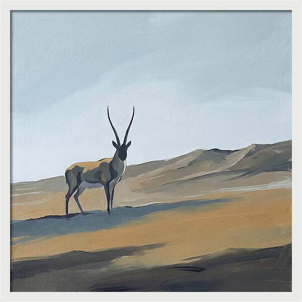 Tibetan Antelope In Tranquil Landscape