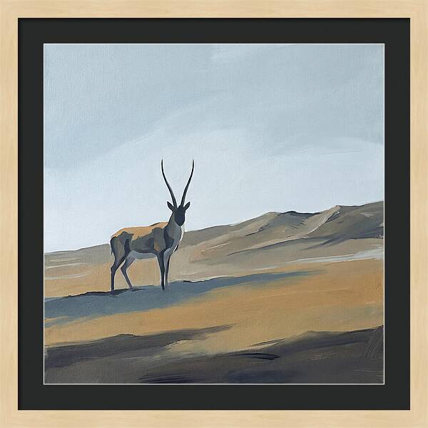 Tibetan Antelope In Tranquil Landscape