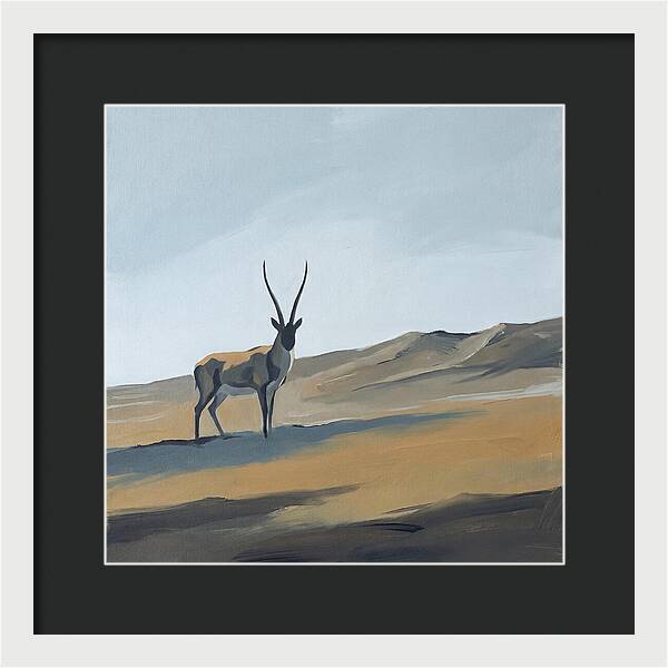 Tibetan Antelope In Tranquil Landscape