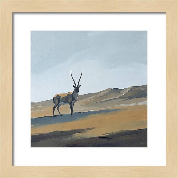 Tibetan Antelope In Tranquil Landscape