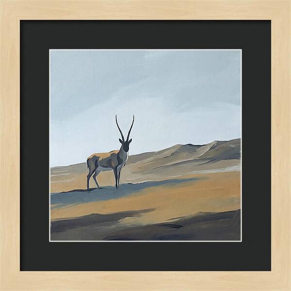 Tibetan Antelope In Tranquil Landscape