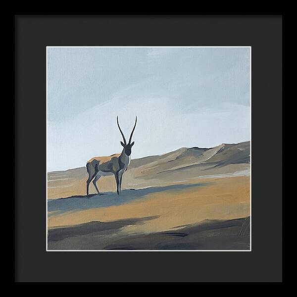 Tibetan Antelope In Tranquil Landscape