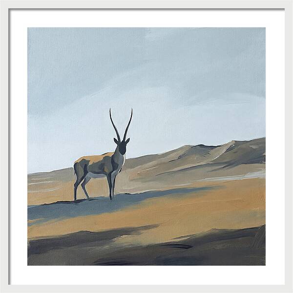 Tibetan Antelope In Tranquil Landscape