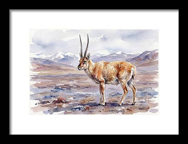 Tibetan Antelope In Watercolor