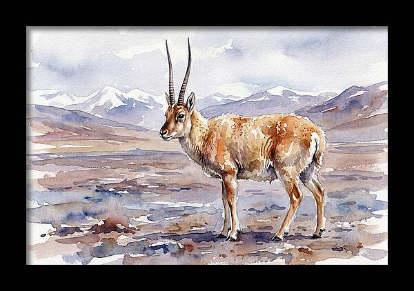 Tibetan Antelope In Watercolor