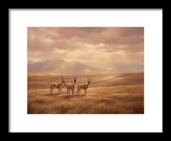 Tibetan Antelope Serenity