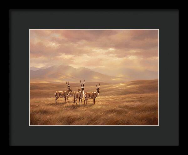 Tibetan Antelope Serenity