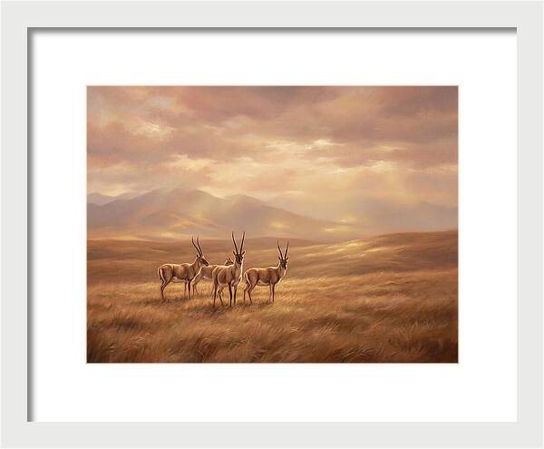Tibetan Antelope Serenity