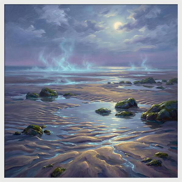 Tidal Flat Under Moonlight
