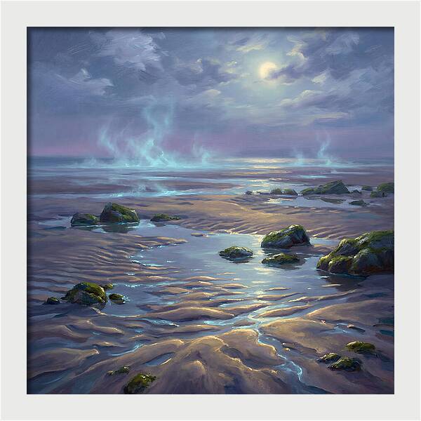Tidal Flat Under Moonlight
