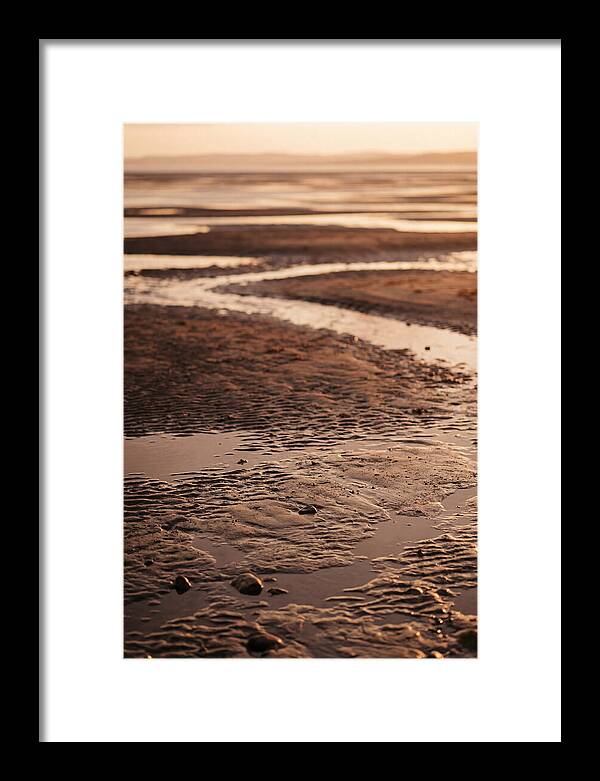 Tidal Flats At Low Tide