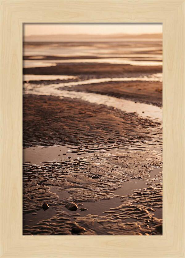 Tidal Flats At Low Tide